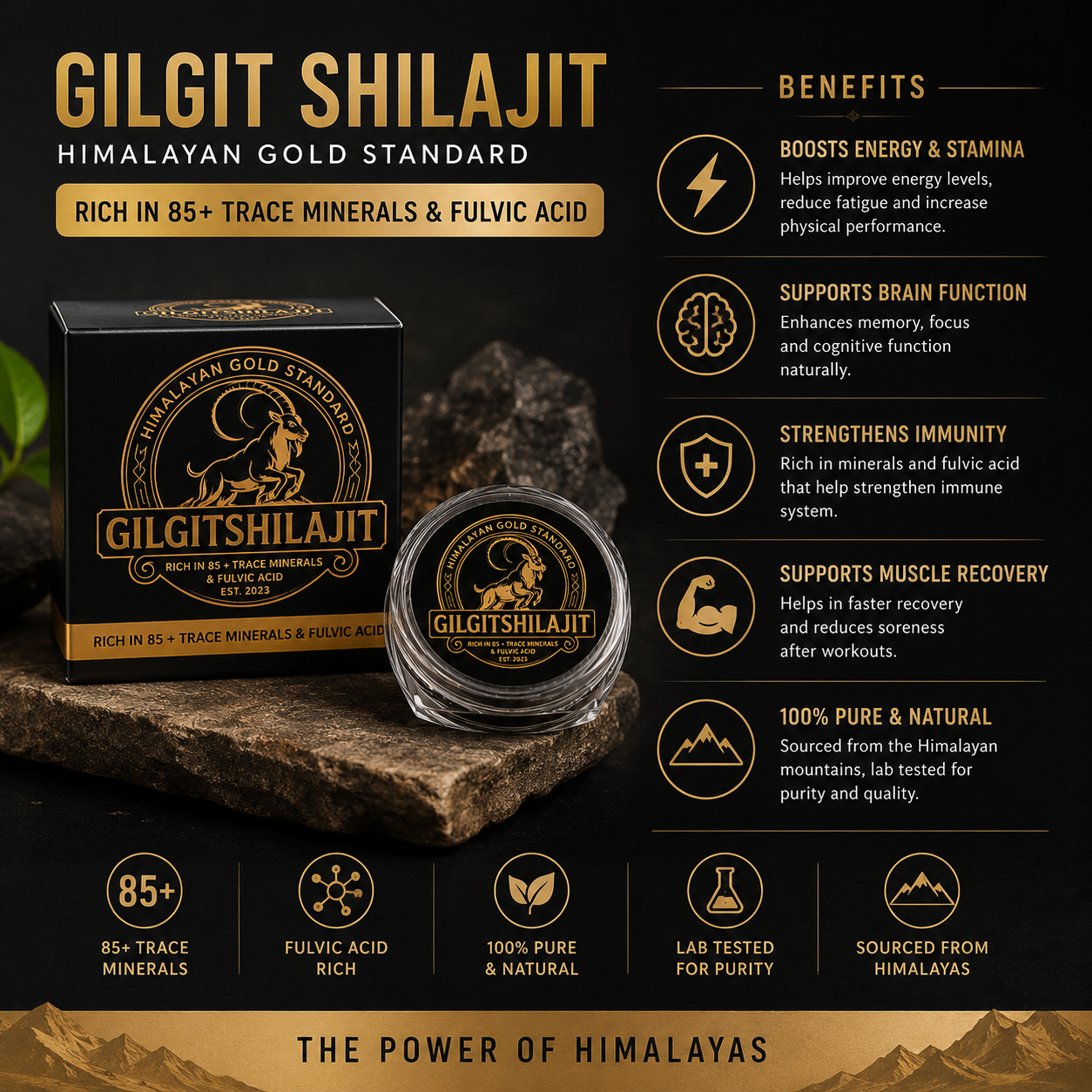 Gilgit Shilajit — Pure Himalayan Resin | 12ml