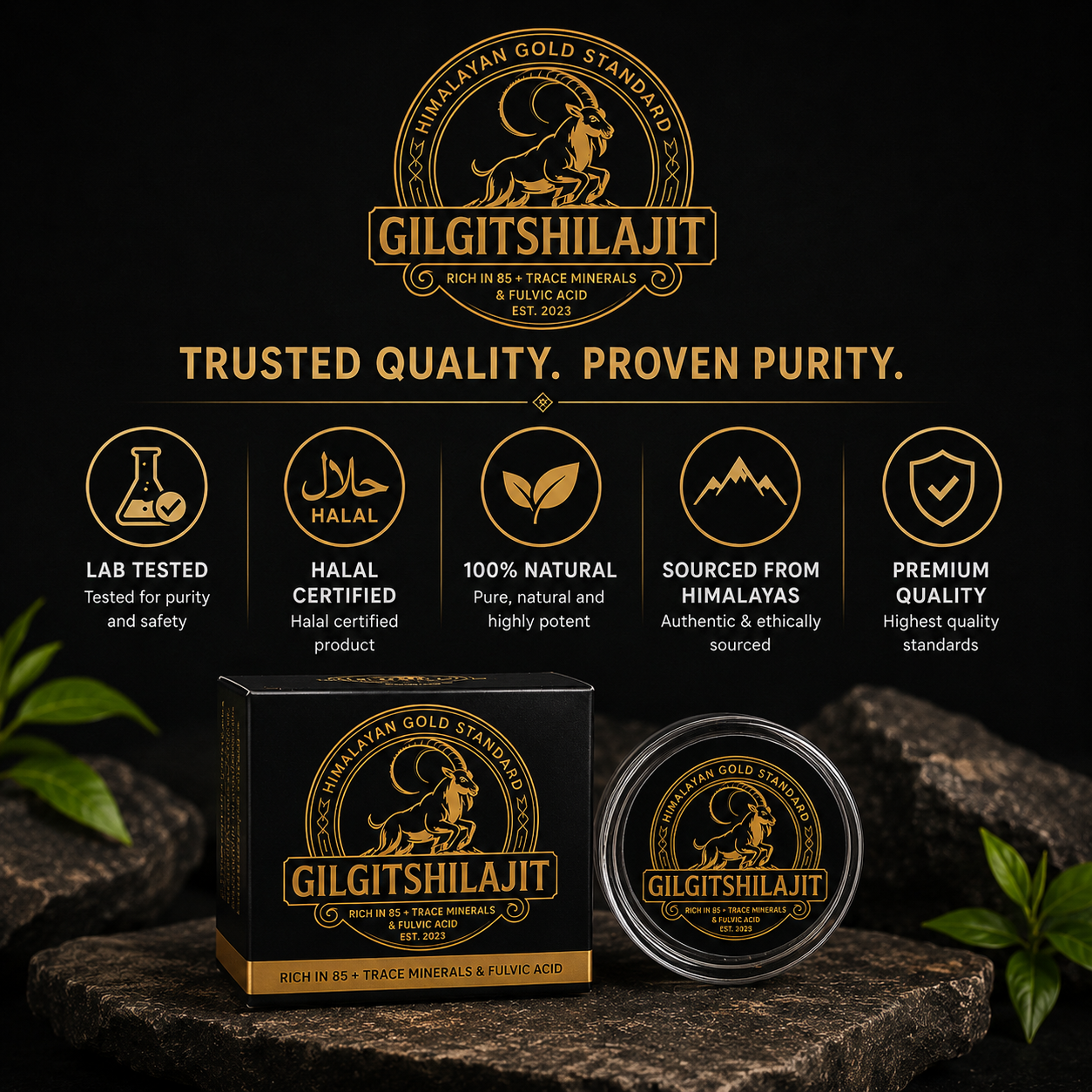 Gilgit Shilajit — Pure Himalayan Resin | 12ml